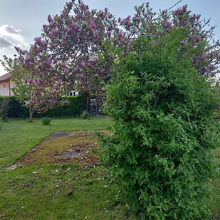 A House, Free Parking, Sauna Koprivnica Exterior photo
