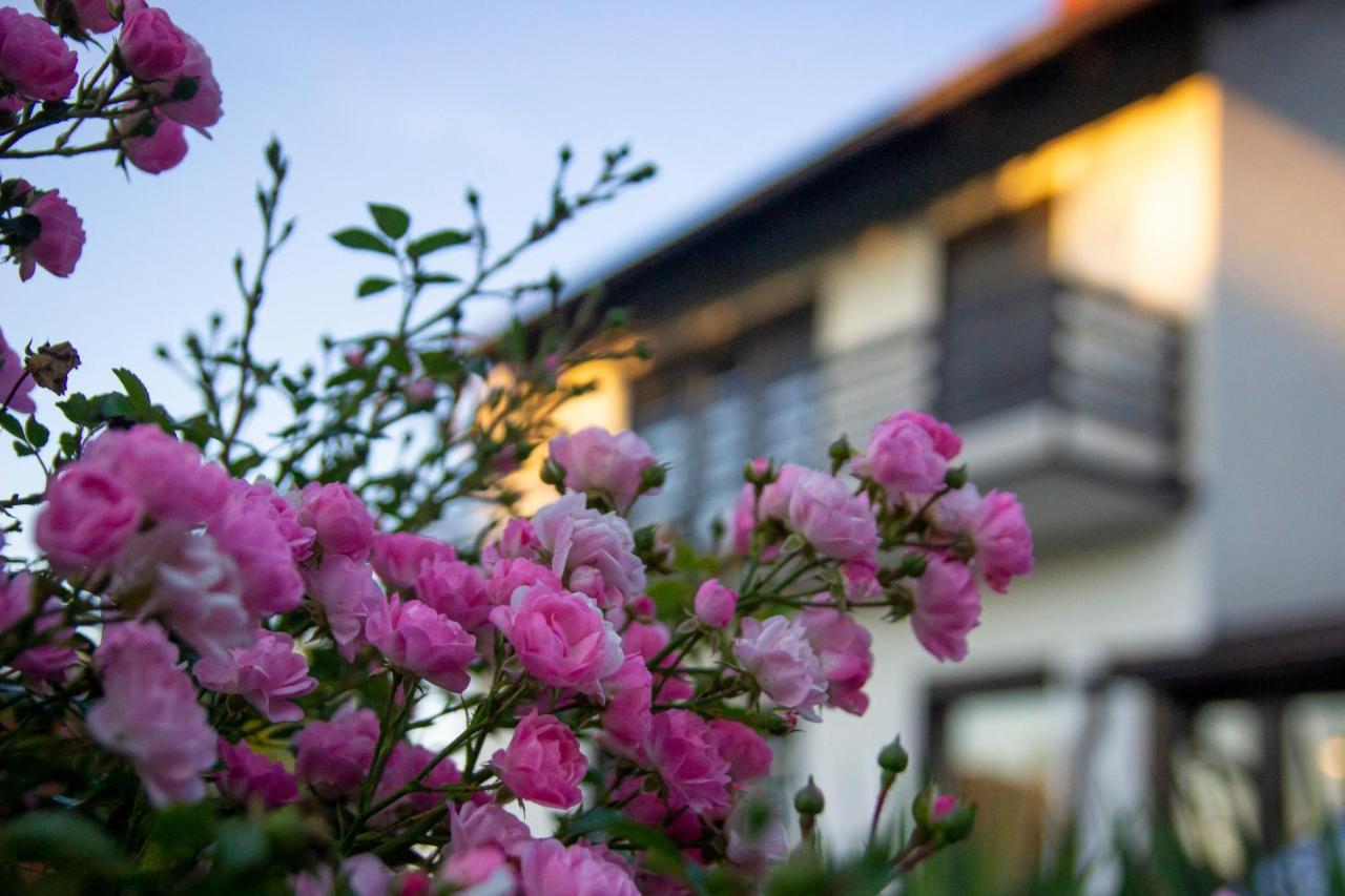 A House, Free Parking, Sauna Koprivnica Exterior photo