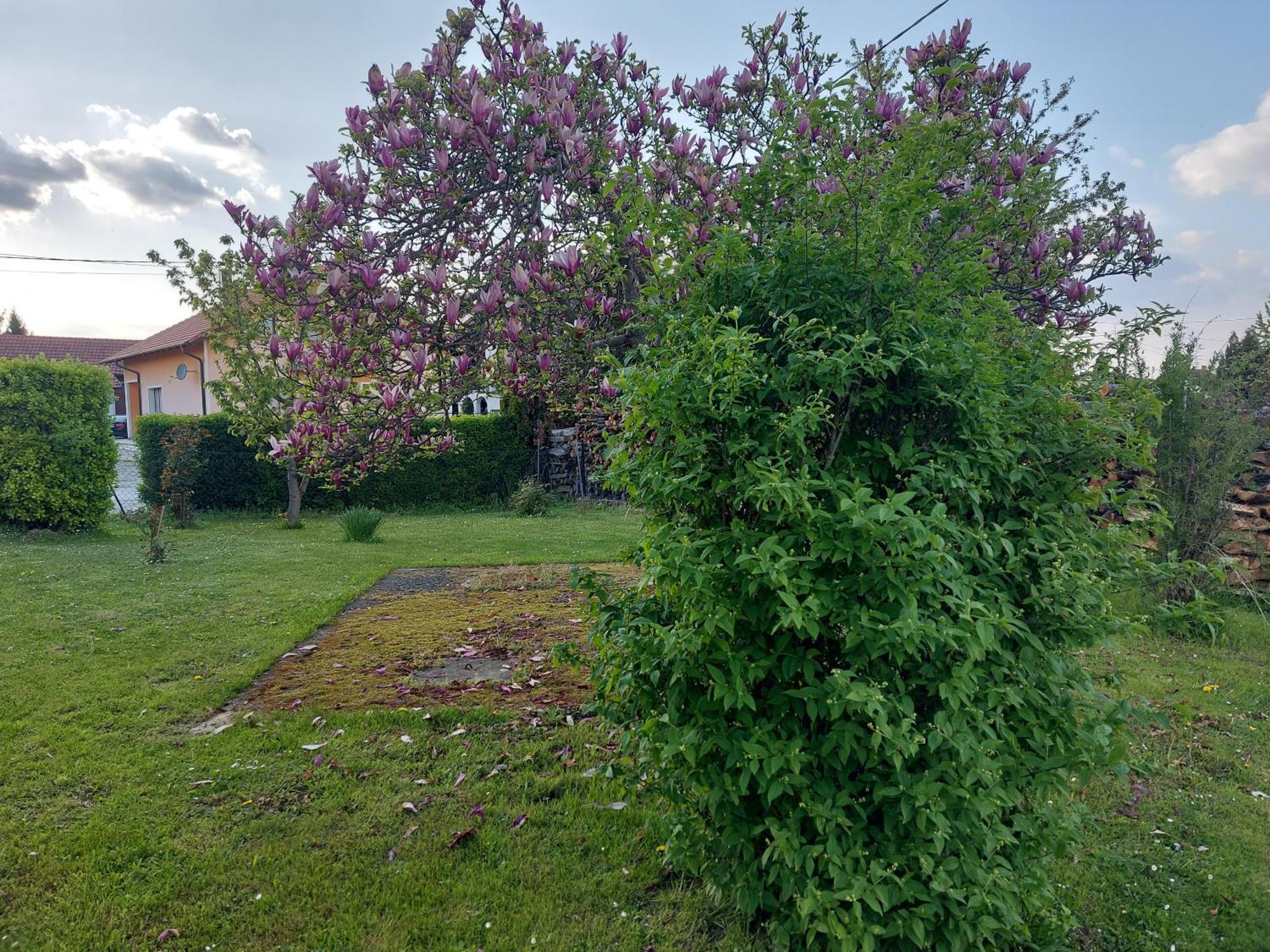 A House, Free Parking, Sauna Koprivnica Exterior photo